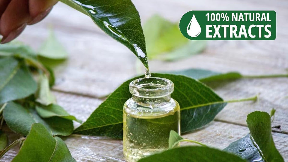 100% Natural Incense Sticks Handmade Hand Dipped The Best Scent (Green Tea)