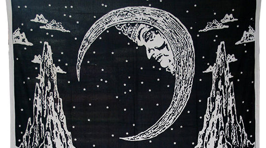 The significance and meaning of the Moon Tapestry
